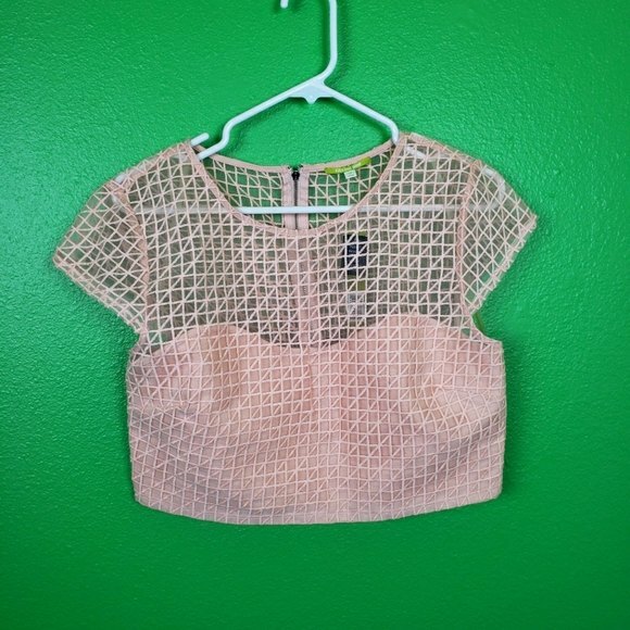 Gianni Bini Pink Sheer Mesh Crop Top Size 12 - Picture 1 of 11